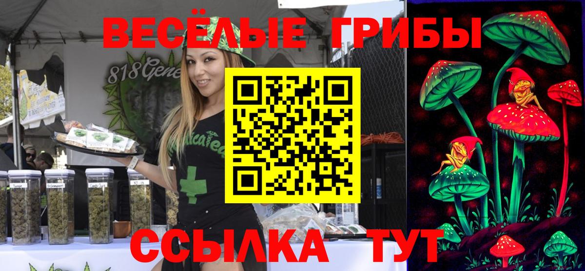 Галлюциногенные грибы Magic Shrooms  сколько стоит  Россошь  Вход с VPN 